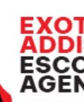 Exotic Addis Escorts Agency