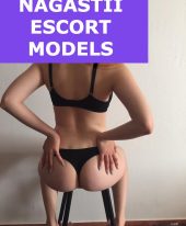 NAGASTII EXECUTIVE MODELS